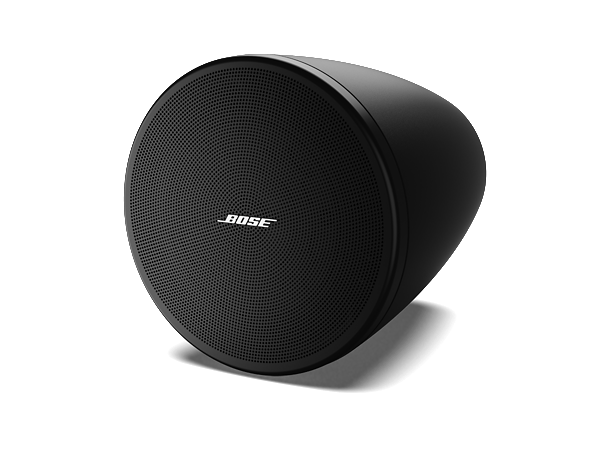 Bose DesignMax DM3P