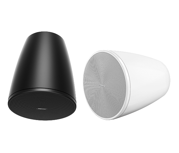 Bose DesignMax DM6PE