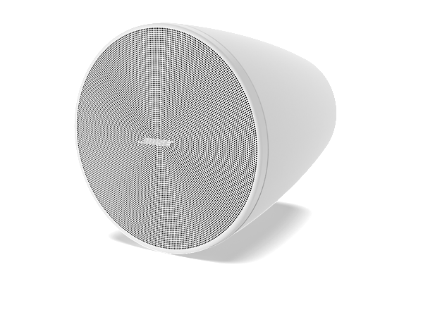 Bose DesignMax DM6PE