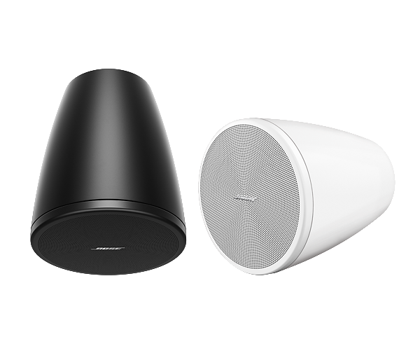 Bose DesignMax DM3P
