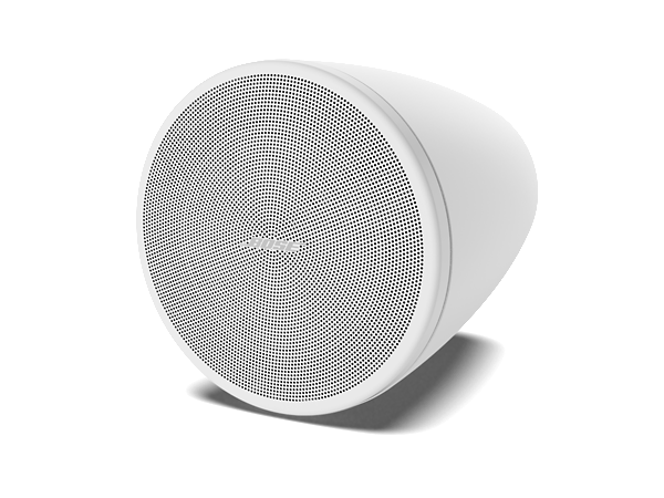 Bose DesignMax DM3P