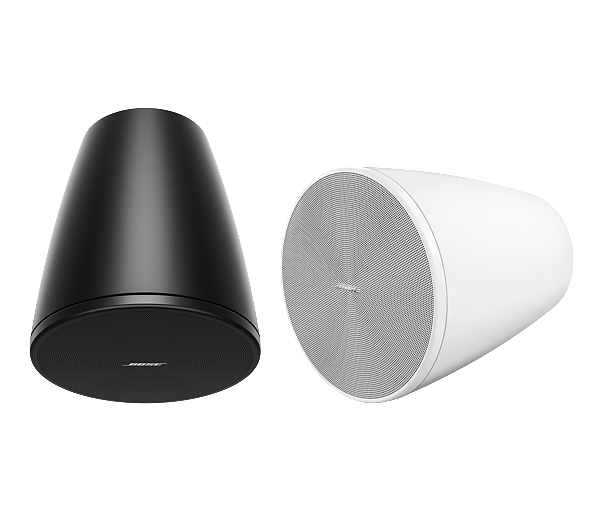 Bose DesignMax DM5P