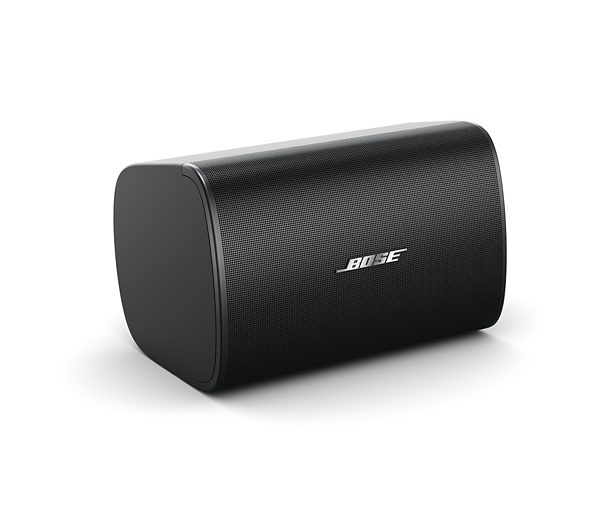 Bose DesignMax DM6SE