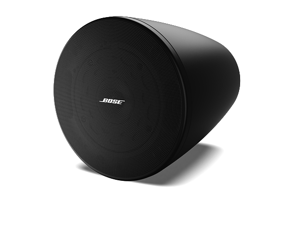 Bose DesignMax DM6PE