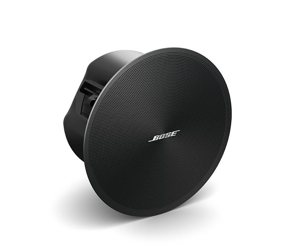 Bose DesignMax DM3C