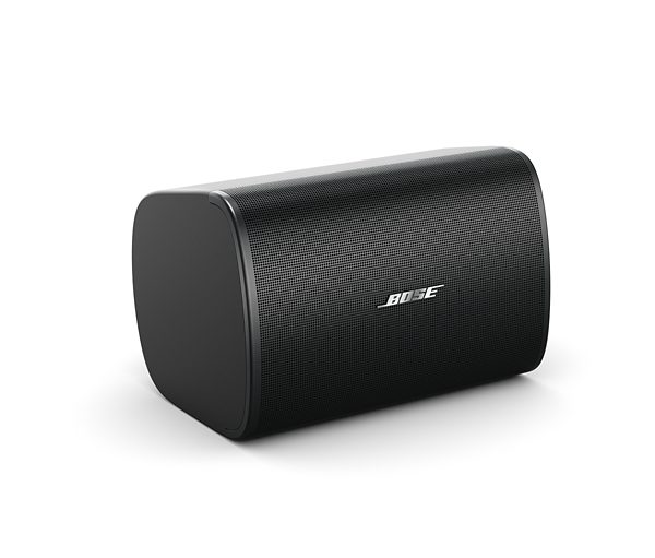 Bose DesignMax DM5SE