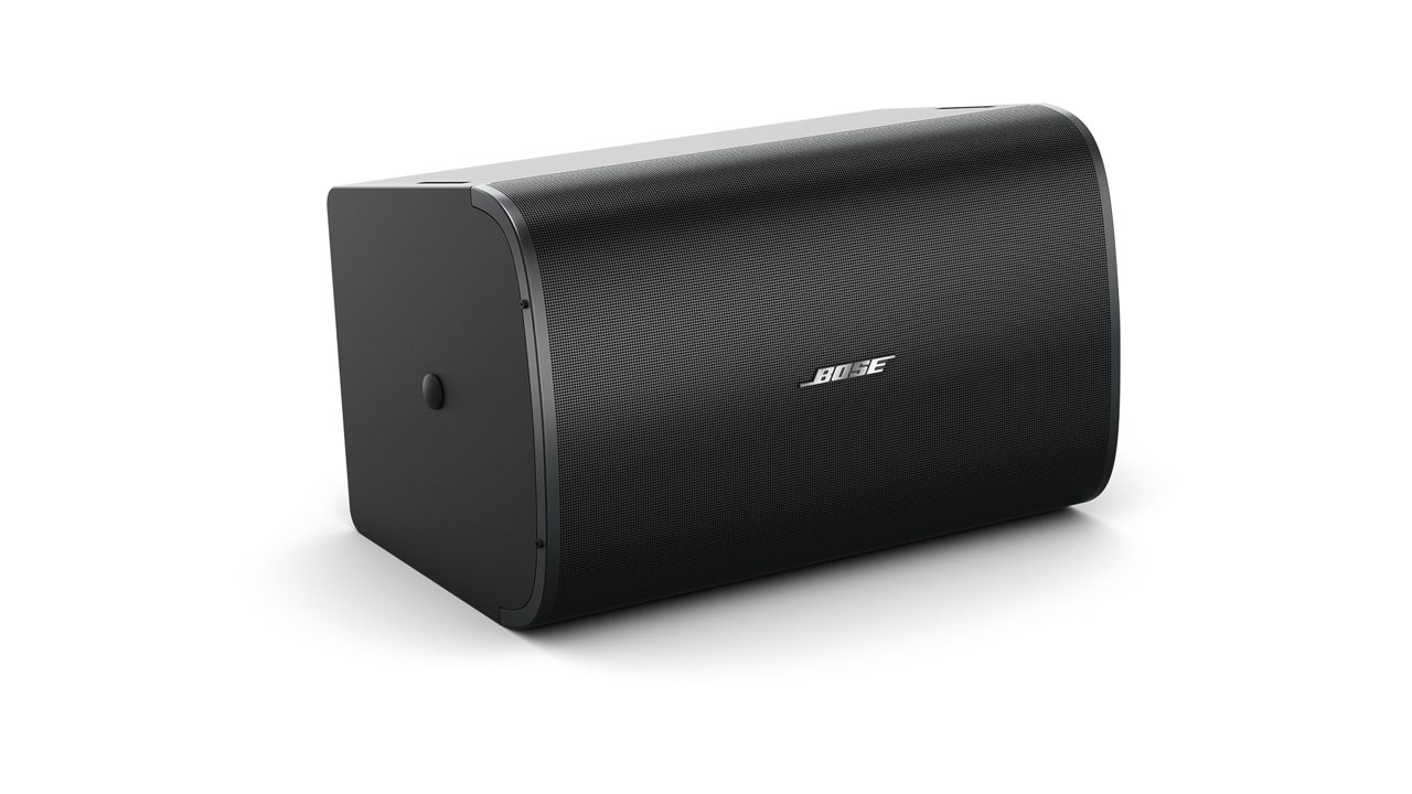 Bose DesignMax DM10S-Sub